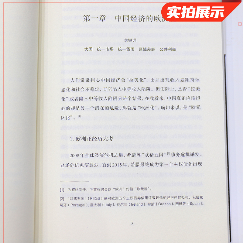 大国大城当代中国的统一发展与平衡立足当下中国发展困境新华书店 - 图2