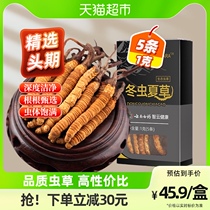 Yunnan White Medicine Caterpillar Fungus non-Tibets official flagship store Caterpillar Fungus Fresh Dry Goods Gift box Head Period