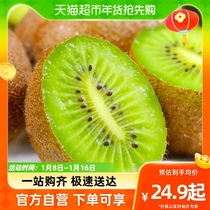 Shaanxi Green Hearts Matt Goosebumps 5 catties Big fruit 100g 120g whole boxes (hand required to be cooked)