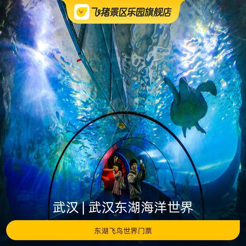 [武汉东湖海洋世界-东湖飞鸟世界门票]