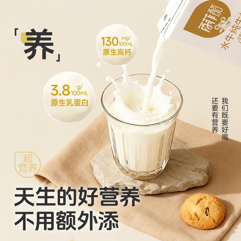 百菲酪3.8g水牛纯牛奶儿童成人早餐营养奶200ml*12盒/箱