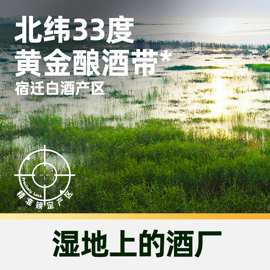 臻选洋河梦之蓝龙凤呈祥52度550ml*2瓶礼盒