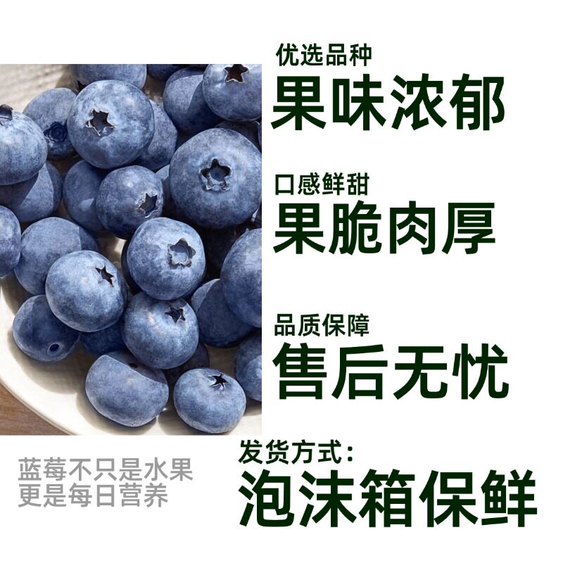 【4盒超补下单40.2】云南Driscoll's怡颗莓