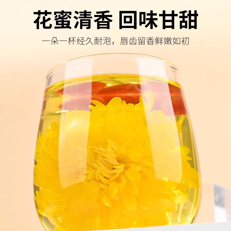 北京同仁堂菊花茶金丝皇菊黄菊一朵一杯去火清热解毒官方旗舰正品