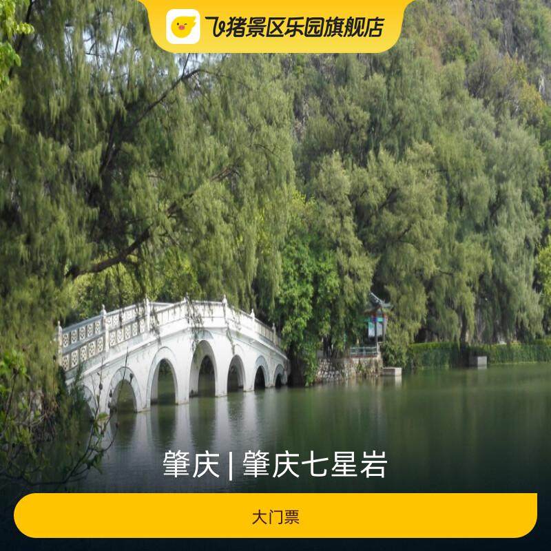 [肇庆七星岩-大门票] - 实物图