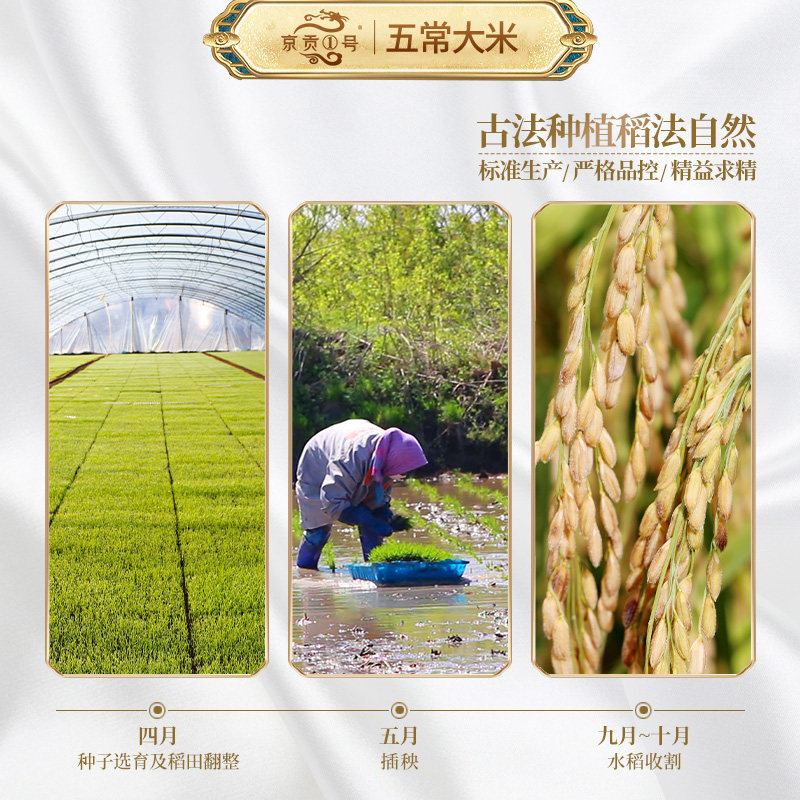[2024年新米]京贡1号黑龙江大米五常大米正宗原产地东北米-图0