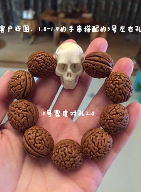 骷髅头鹿角精工雕刻背云尸陀林
