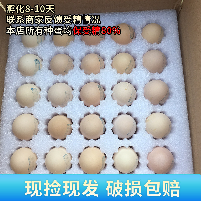 纯种泰和乌鸡种蛋受精蛋可孵化正宗白凤乌鸡蛋江西乌骨鸡受精鸡蛋,淘宝优惠券,粉丝福利购,淘宝优惠卷