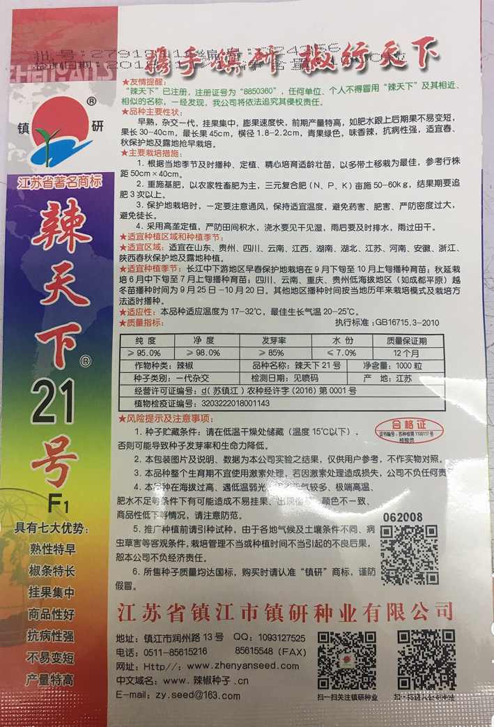 包邮镇研辣天下21号线椒椒辣椒种子辣味浓春秋保护地露地种植