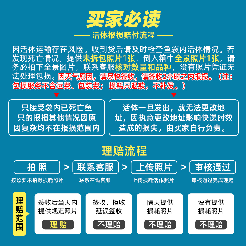 珍珠鼠鱼金苔鼠鱼底栖热带鱼观赏工具鱼老鼠鱼除藻清洁鱼清道夫鱼 - 图2