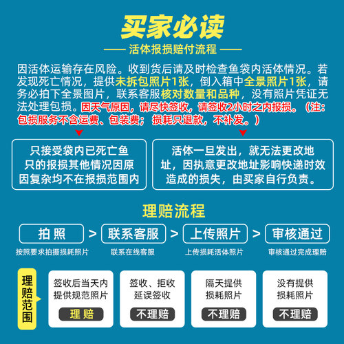孔雀鱼热带纯种活鱼苗淡水小型好养易观赏鱼胎生凤尾鱼灯科鱼混养 - 图2