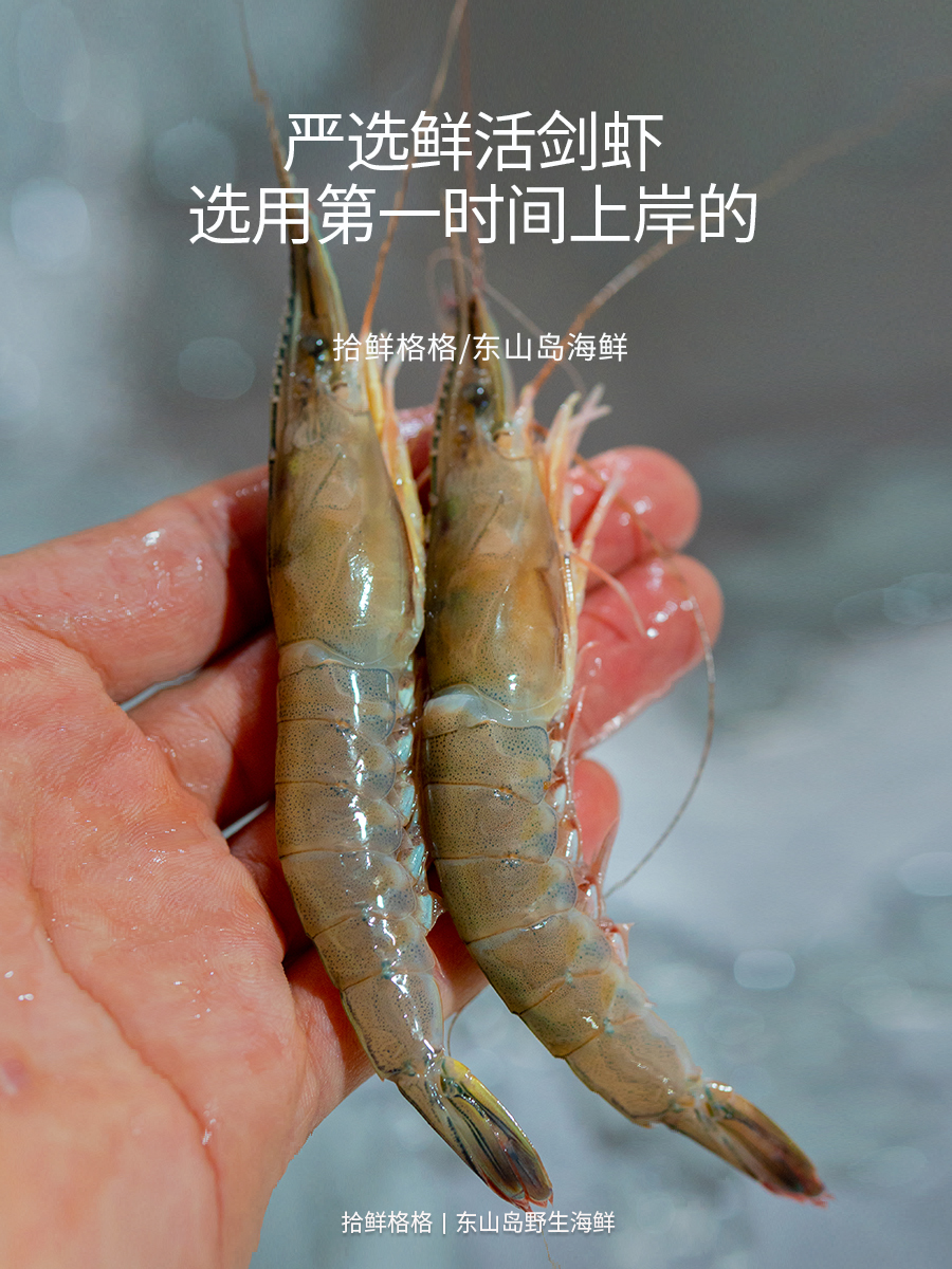 剑虾约20只 220g东山岛海鲜青壳滑皮虾硬壳海虾呛虾鲜活速冻-图1