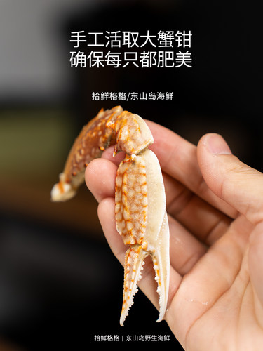 蟹腿肉 大号 200g 梭子蟹蟹肉 手工现剥新鲜蟹脚肉冷冻螃蟹肉蟹钳 - 图1