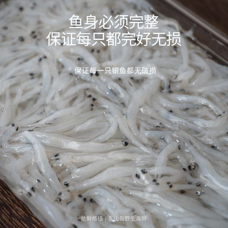 拾鲜格格银鱼东山岛海鲜野生面条鱼新鲜小银鱼宝宝辅食 250g-图3