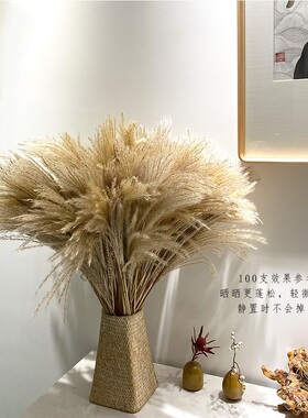 大穗真花芦苇干花束摆件拍摄布置