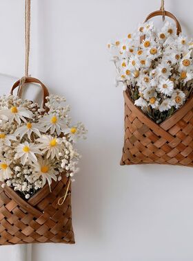 北欧小雏菊真花干花墙挂