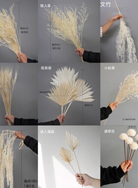 满天星芦苇干花花束侘寂装饰摆件