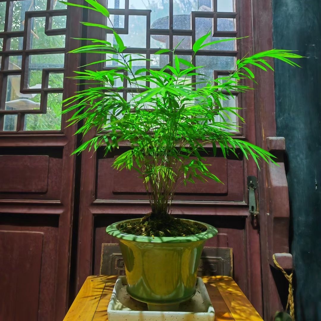 图2