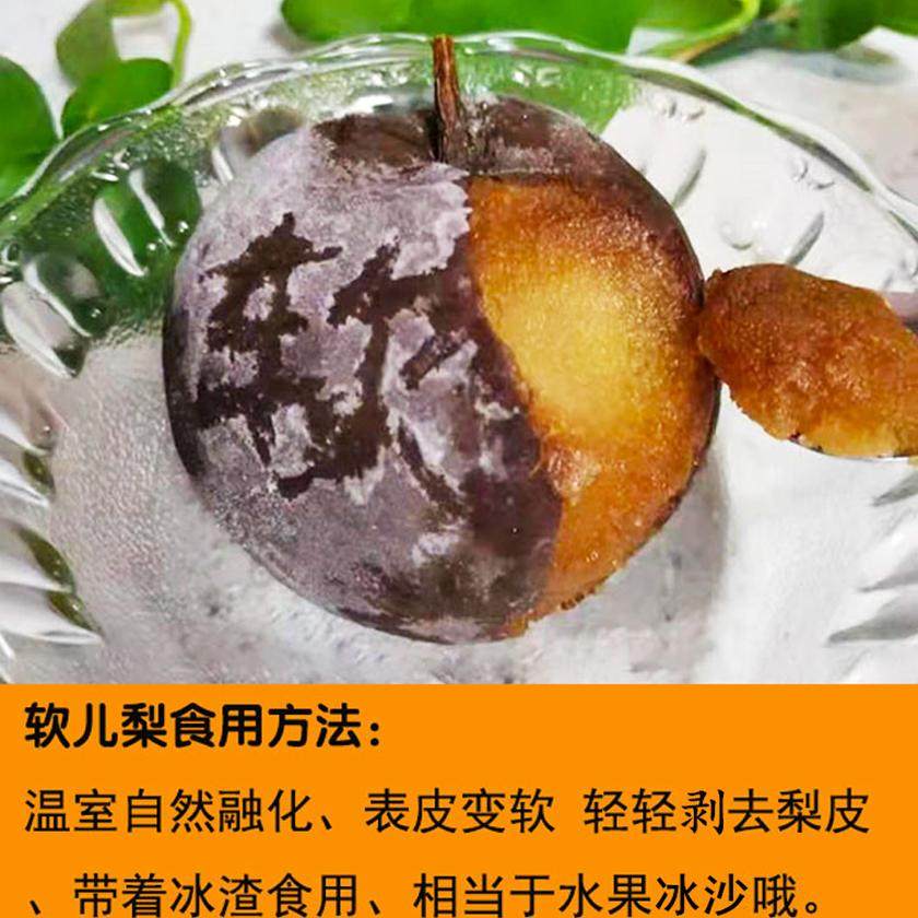 甘肃兰州软儿梨冻梨香水梨黑梨新鲜冬水果非东北梨6斤装顺丰包邮,淘宝优惠券,粉丝福利购,淘宝优惠卷