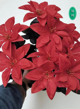 圣诞花圣诞节装饰品仿真花一品红花朵红花圣诞节室内装饰绢暗红