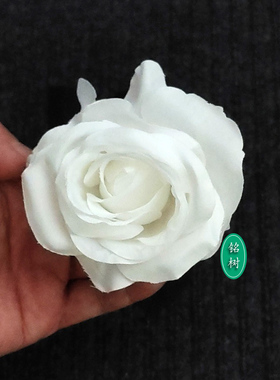 暗黑白色仿真花玫瑰假绢色哥特JK个性装饰把束动漫婚礼萝莉万圣