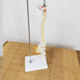 Teaching spinal skeleton model