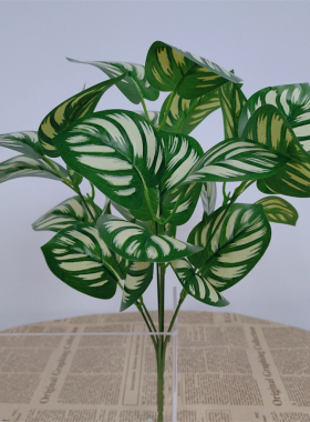 仿真假绿植植物波斯草装饰背景墙插花摆设绿叶子万年青塑料假花艺