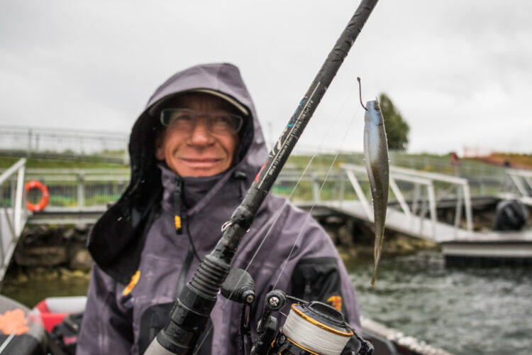 美国Strike King BABY ZTOO软体抽停倒吊浮水叉尾鱼路亚软饵黑坑 - 图1