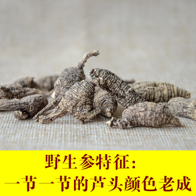 美国威斯康辛州花旗参30年参龄纯正野山美种野生西洋参整枝50克 虎窝淘