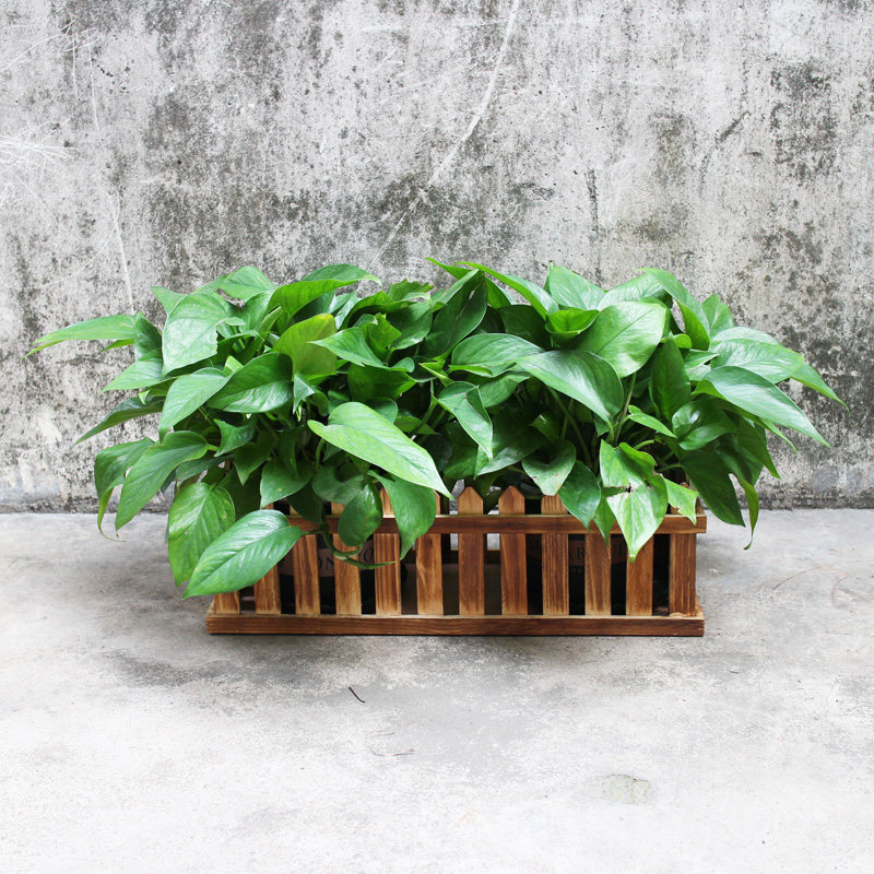 长方形木栏栅围栏花盆阳台地面多肉小盆栽收纳盆碳化实木田园百搭,淘宝优惠券,粉丝福利购,淘宝优惠卷