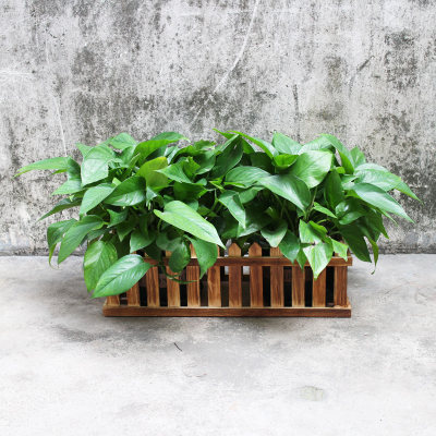 长方形木栏栅围栏花盆阳台地面多肉小盆栽收纳盆碳化实木田园花槽 虎窝淘