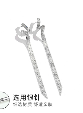 长款流苏耳环耳饰耳钉高级感轻奢