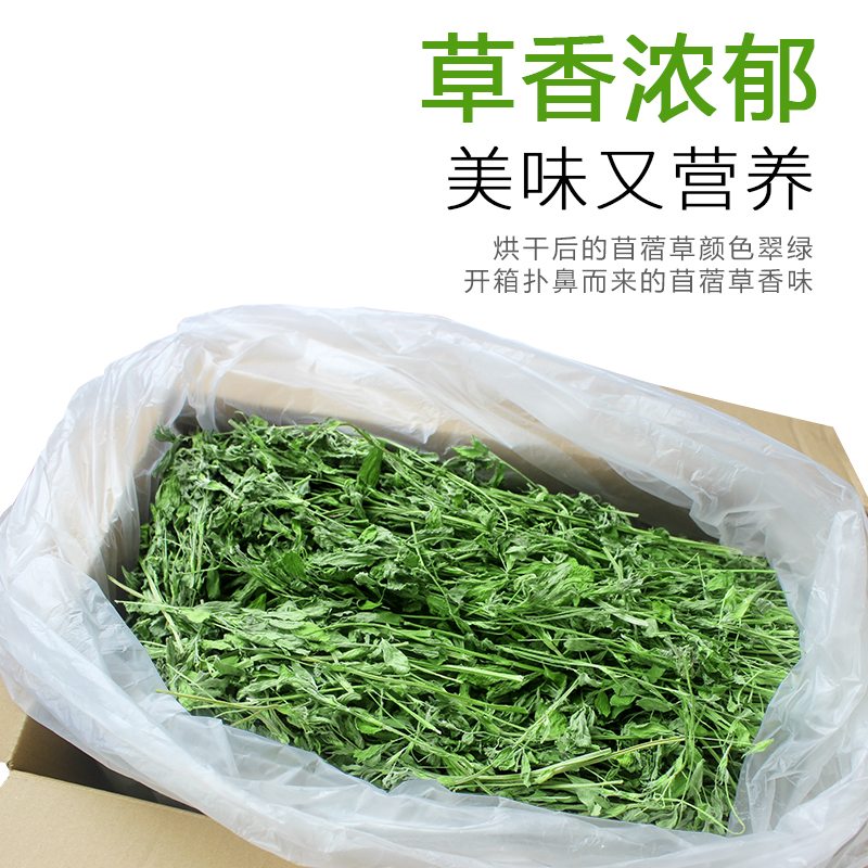 紫花苜蓿草1KG豚鼠荷兰猪龙猫兔子牧草饲料幼兔粮干草兔草苜宿草 - 图3