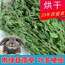 Purple Flower Clover Grass 1KG Guinea Pig Dutch Pig Dragon Cat Rabbit Pasture Grass Feed Young Rabbit Grain Dry Grass Rabbit Grass Clover Grass