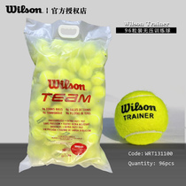 Wilwin Wilson beginner tennis training ball 60 grain bagged ball 72 grain trainer no pressure big cylinder ball