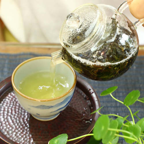 SUSU单丛 | 鸭屎香 凤凰单枞茶 自家 乌岽单丛清香型2026新茶500g - 图2