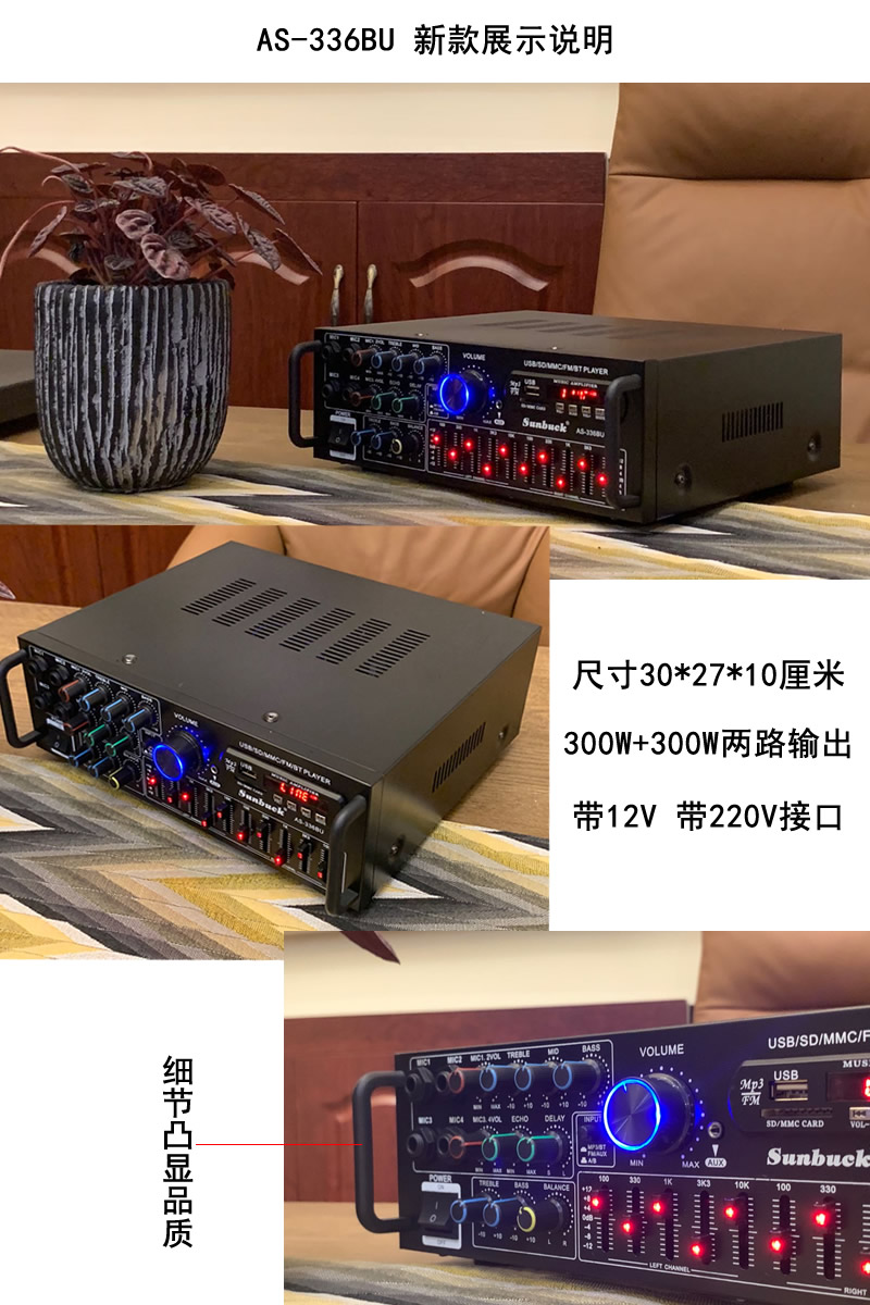 220V/12V功放机 家用卡拉OK功放机 大功率HIFI摇控蓝牙EQ均衡插卡 - 图2