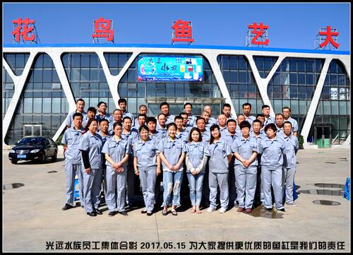 光远 超白鱼缸定做 金晶超白玻璃 草缸 海水缸 全国包邮厂家直销 - 图0