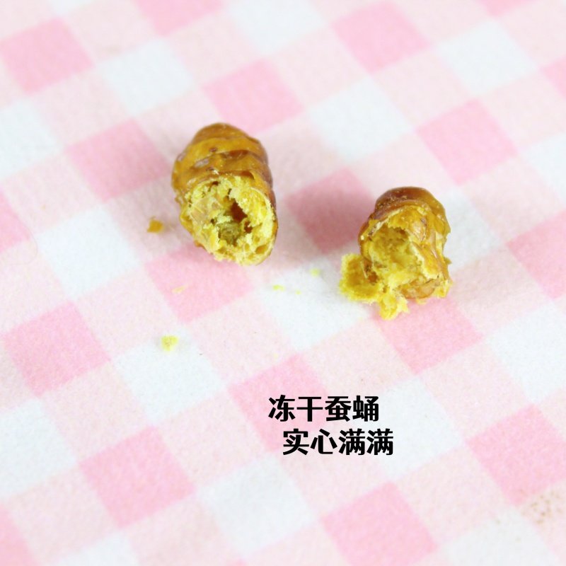 冻干蚕蛹仓鼠零食昆虫蛋白守宫食物磨牙棒花枝鼠蜜袋鼯金丝熊虫子,淘宝优惠券,粉丝福利购,淘宝优惠卷