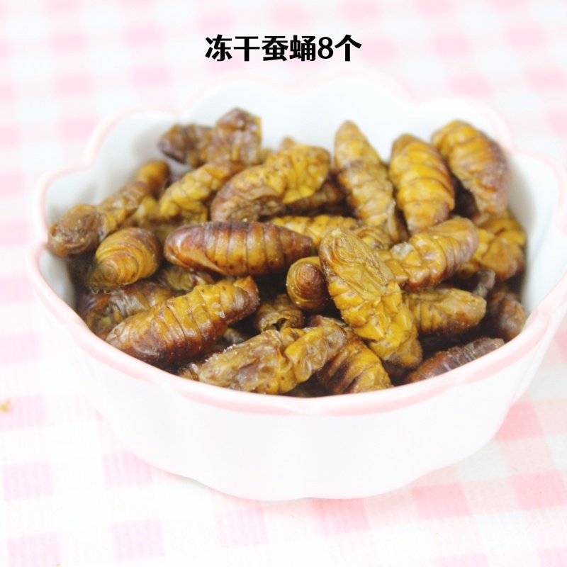 冻干蚕蛹仓鼠零食昆虫蛋白守宫食物磨牙棒花枝鼠蜜袋鼯金丝熊虫子,淘宝优惠券,粉丝福利购,淘宝优惠卷