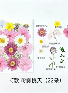 干花DIY滴胶书签相框材料