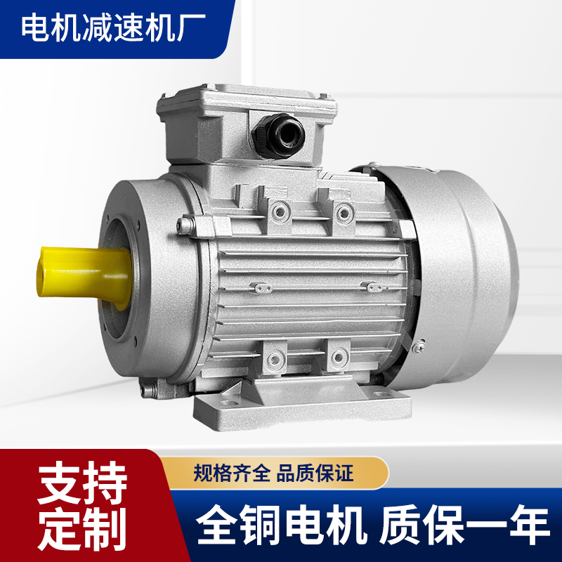 YE3/YS三相异步电机长轴电机非标电机1400/2800转定做非标轴 - 图0