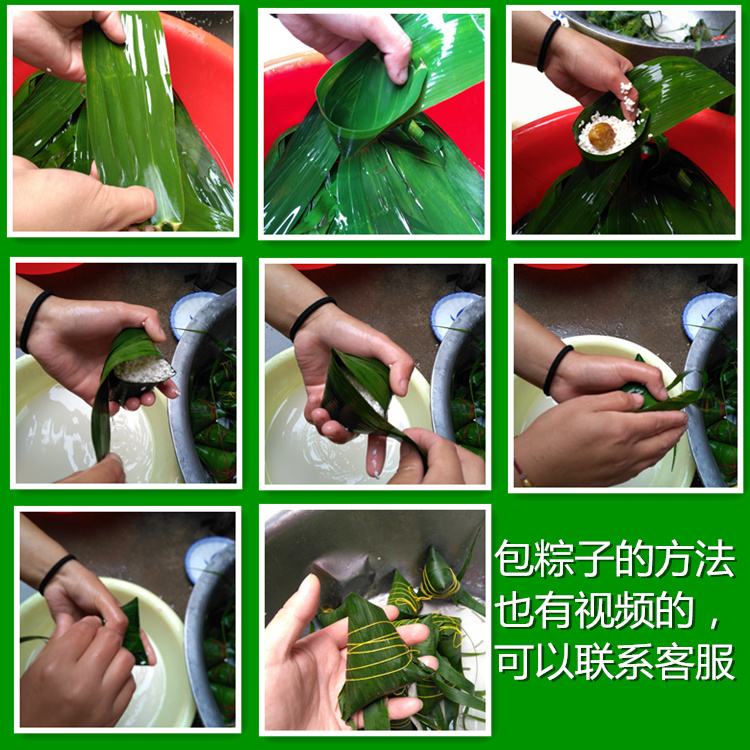 特别挑选芦苇叶粽子叶新鲜当天现摘200片优先发货 - 图2