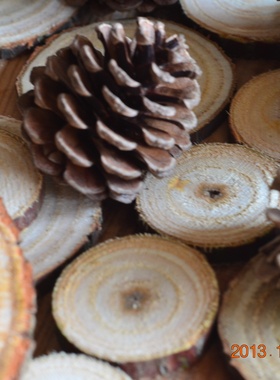 松果装饰干花手工创意diy家居