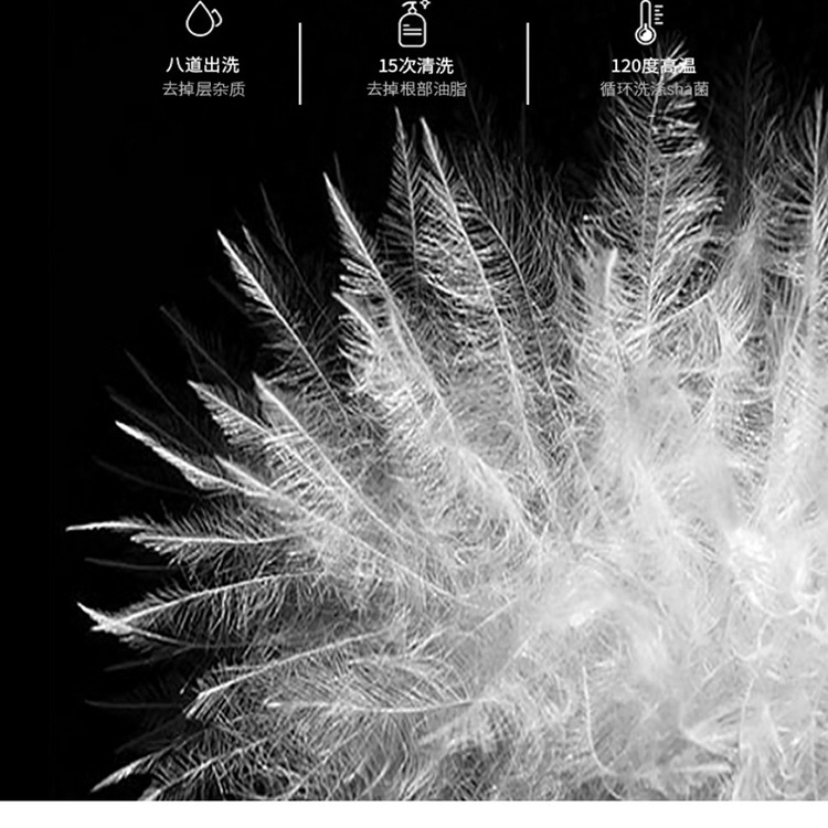 130-260斤胖人可穿特大码女装胖mm2025冬季加厚连帽羽绒服外套240 - 图2