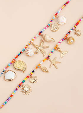 鱼尾太阳响螺扇贝海龟