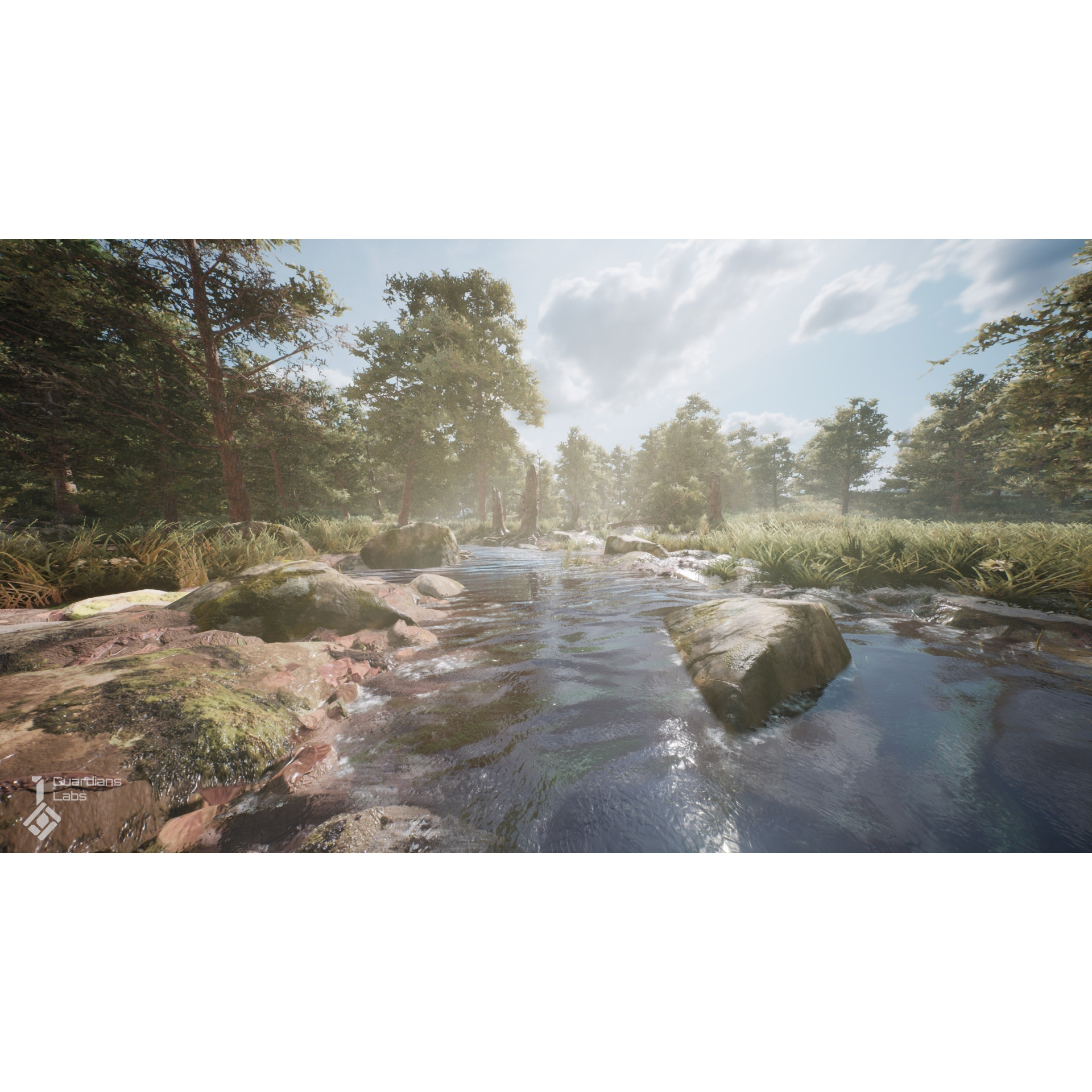 UE5UE4 Scots Pine Tree Pack 苏格兰松林树林环境场景4.27 5.1 - 图2