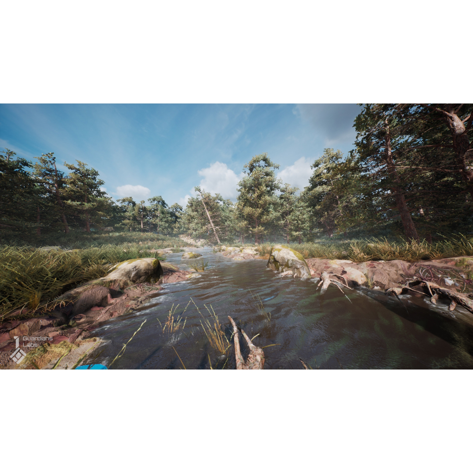 UE5UE4 Scots Pine Tree Pack 苏格兰松林树林环境场景4.27 5.1 - 图3