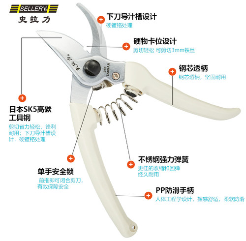 天狼 史拉力园艺剪 修枝剪果树园林绿化花园锋利耐用 - 图1