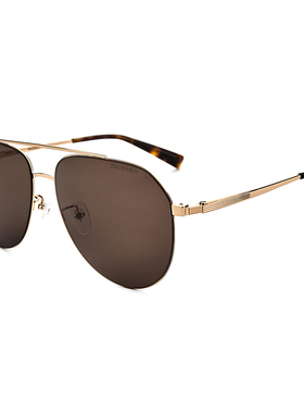 新款杜鲁萨迪太阳镜男时尚飞行员双梁开车驾驶镜个性墨镜STR3013S